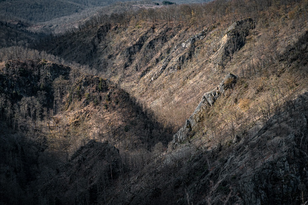 20250406-0011.jpg