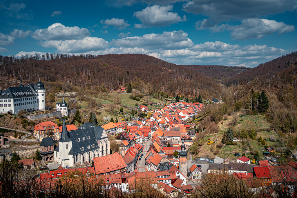 20250414-0058.jpg