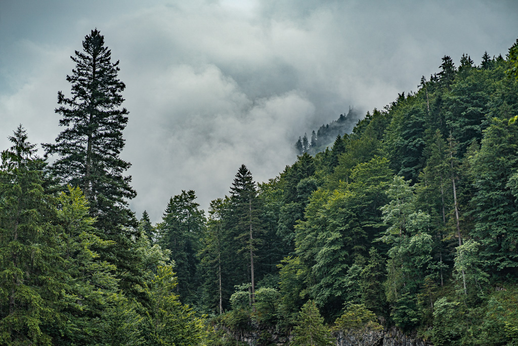 20250714-0539.jpg