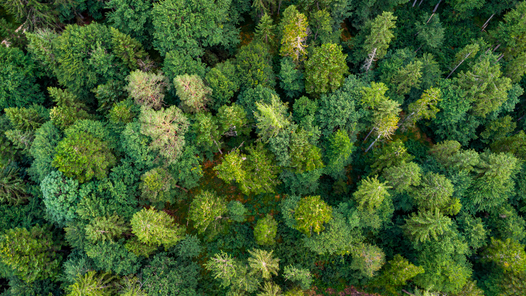DJI_0120.jpg